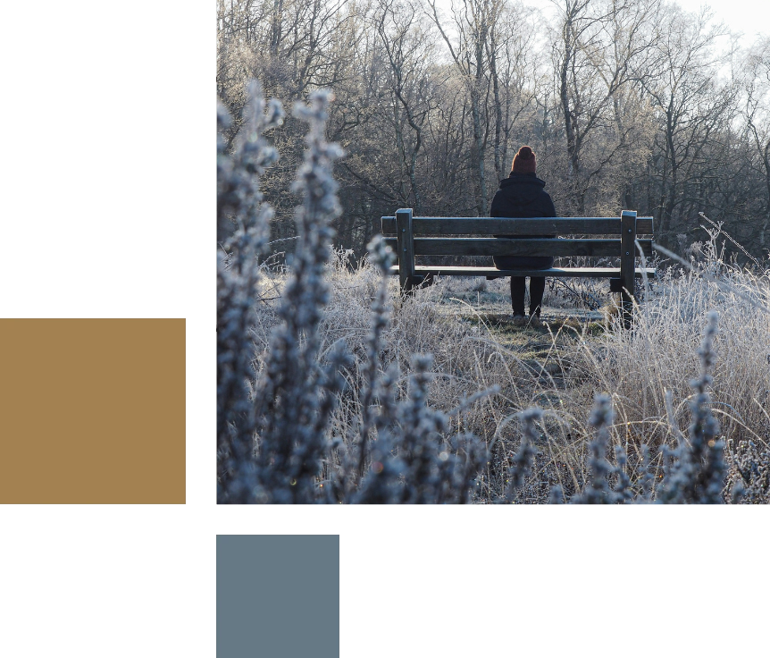 Women sitting alone on a bench in a wintery outdoor setting with snow dusting the trees and shrubbery.